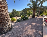 Venta - Villa - Algorfa - Lomas de La Juliana