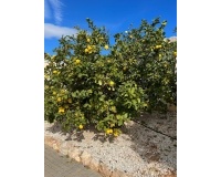 Venta - Villa - Altea - Altea Centro