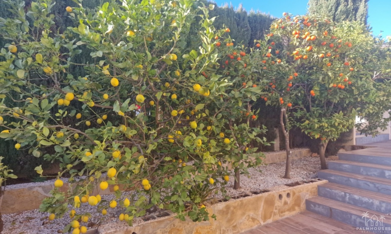 Venta - Villa - Benitachell - Costa Blanca