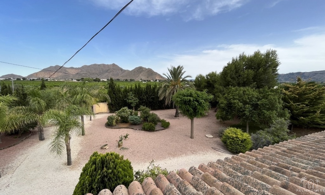 Venta - Villa - Callosa de Segura - Callosilla