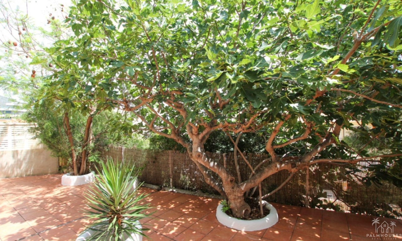 Venta - Villa - Calpe - Calpe Centro