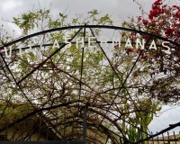 Venta - Villa - Canadas De San Pedro - Inland