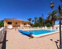Venta - Villa - Catral - Catral Centro