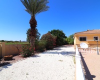Venta - Villa - Catral - Catral Centro