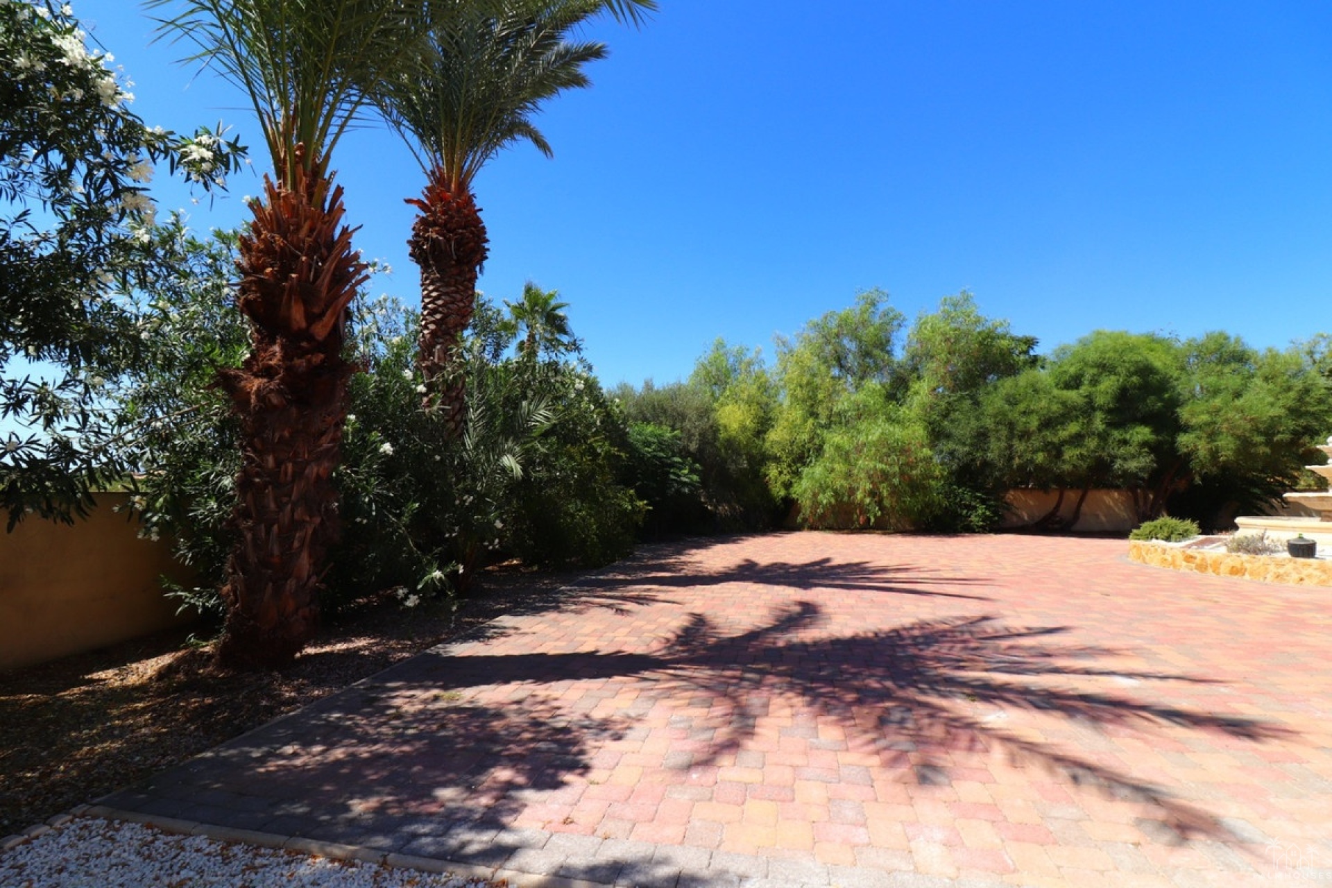 Venta - Villa - Catral - Catral Centro