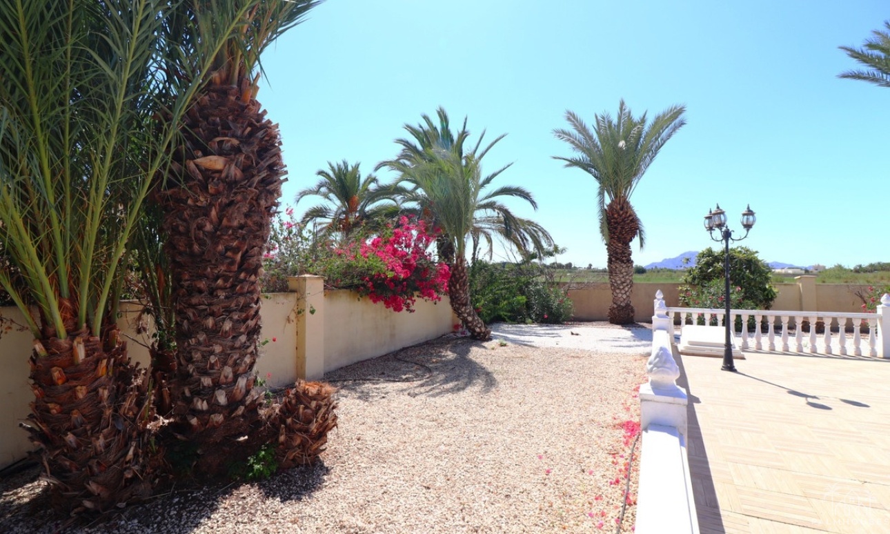 Venta - Villa - Catral - Catral Centro