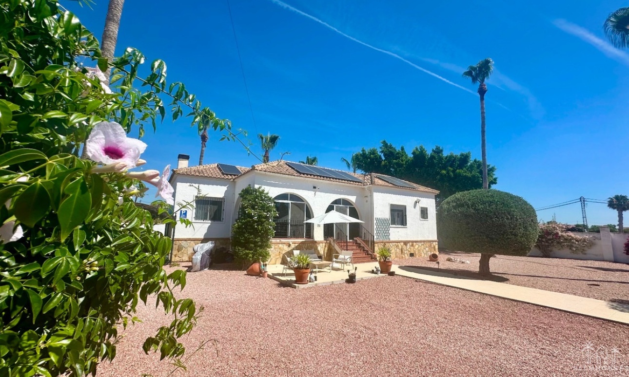 Venta - Villa - Catral - Catral Centro
