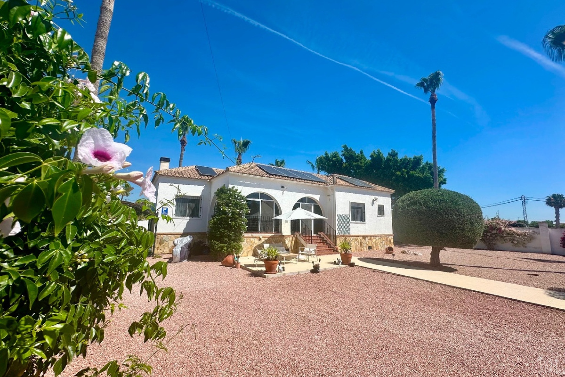 Venta - Villa - Catral - Catral Centro