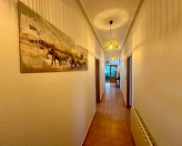 Venta - Villa - Catral - Catral Centro