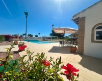 Venta - Villa - Catral - Catral Centro