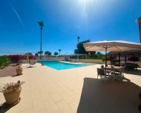 Venta - Villa - Catral - Catral Centro