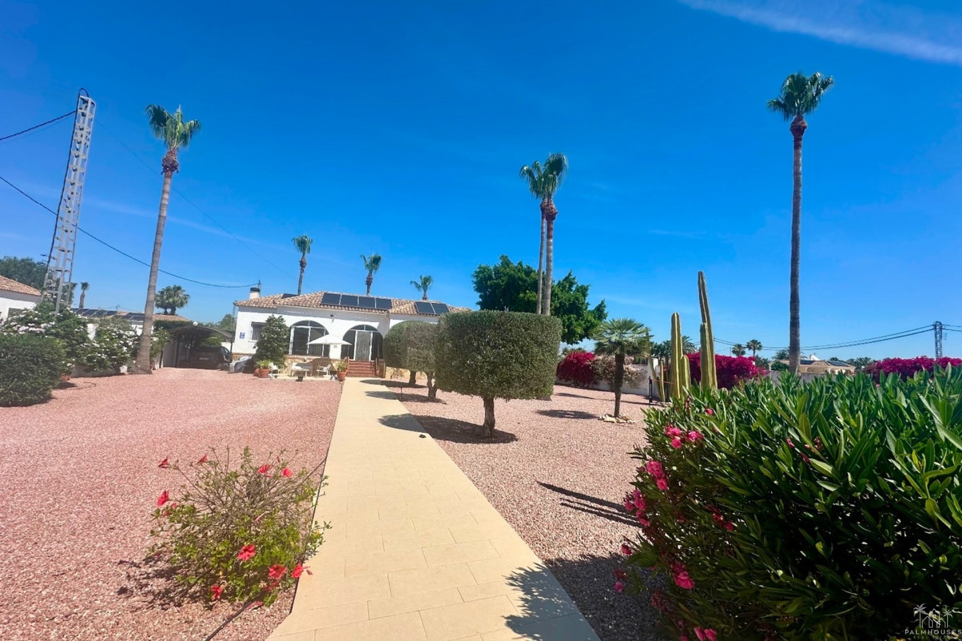 Venta - Villa - Catral - Catral Centro