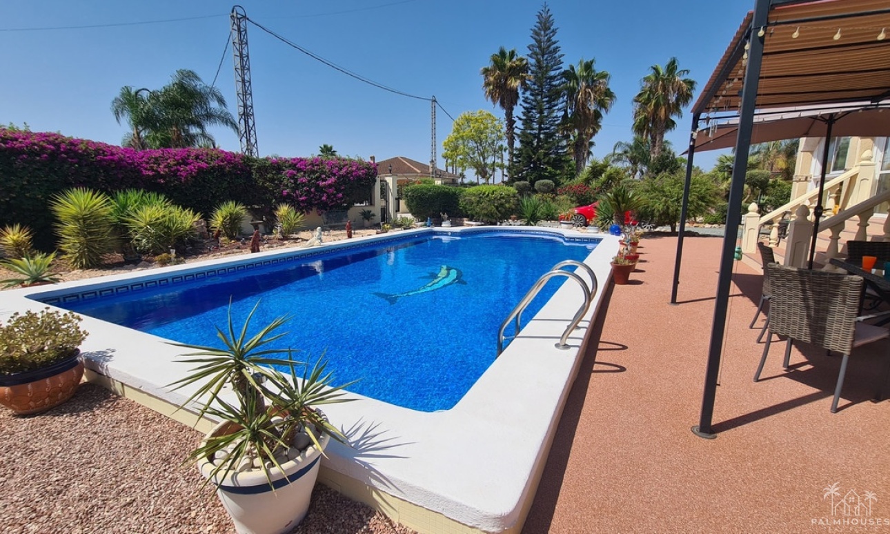 Venta - Villa - Catral - Catral Centro