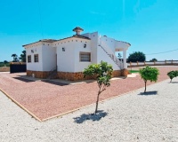 Venta - Villa - Catral - Catral Centro
