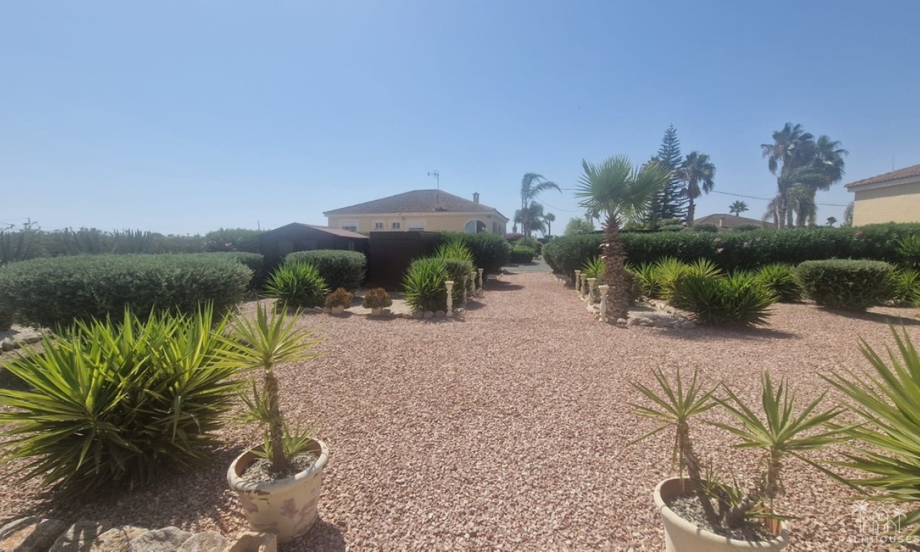 Venta - Villa - Catral - Catral Centro
