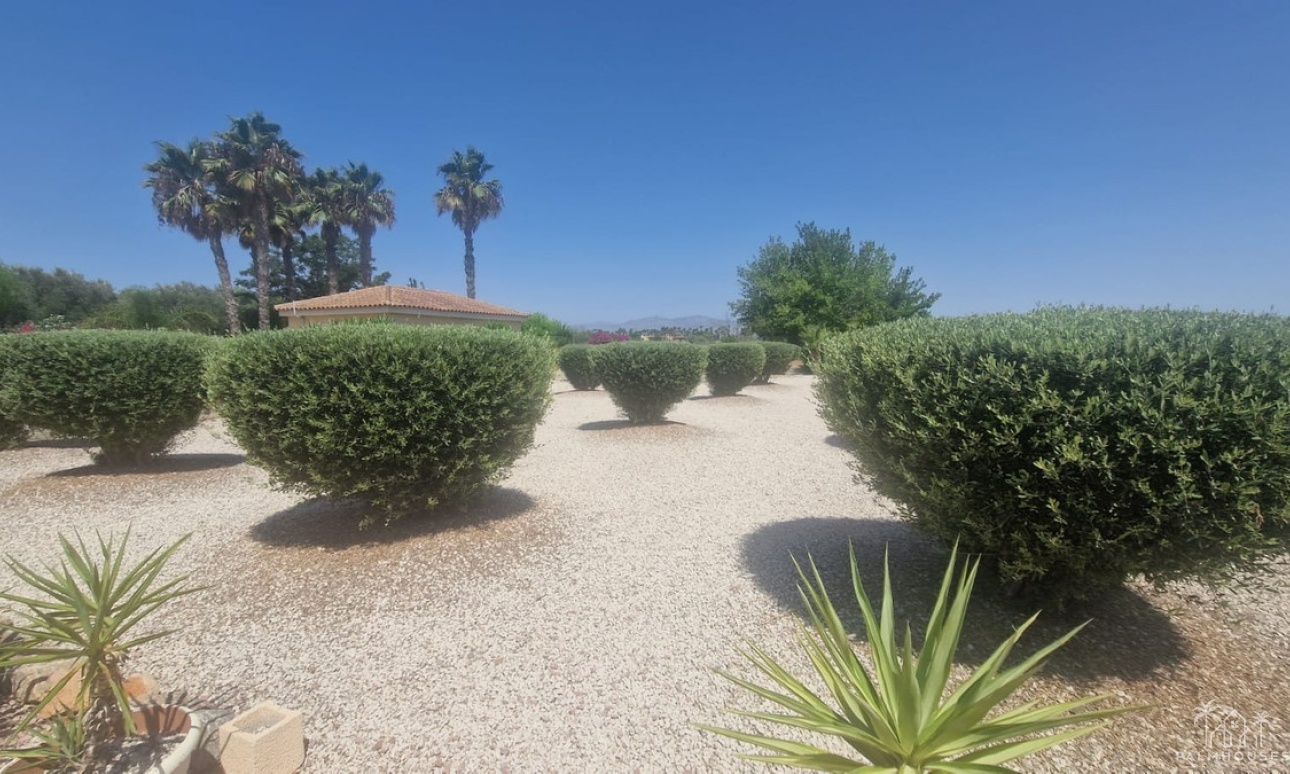 Venta - Villa - Catral - Catral Centro