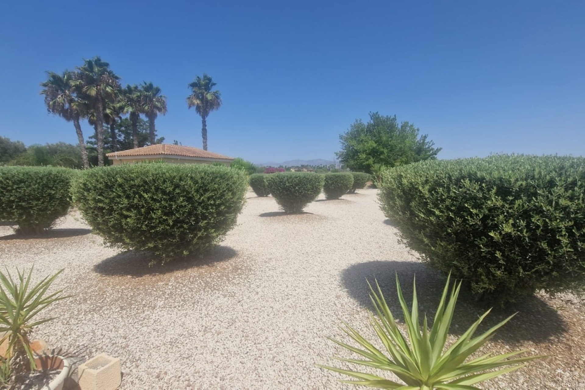 Venta - Villa - Catral - Catral Centro