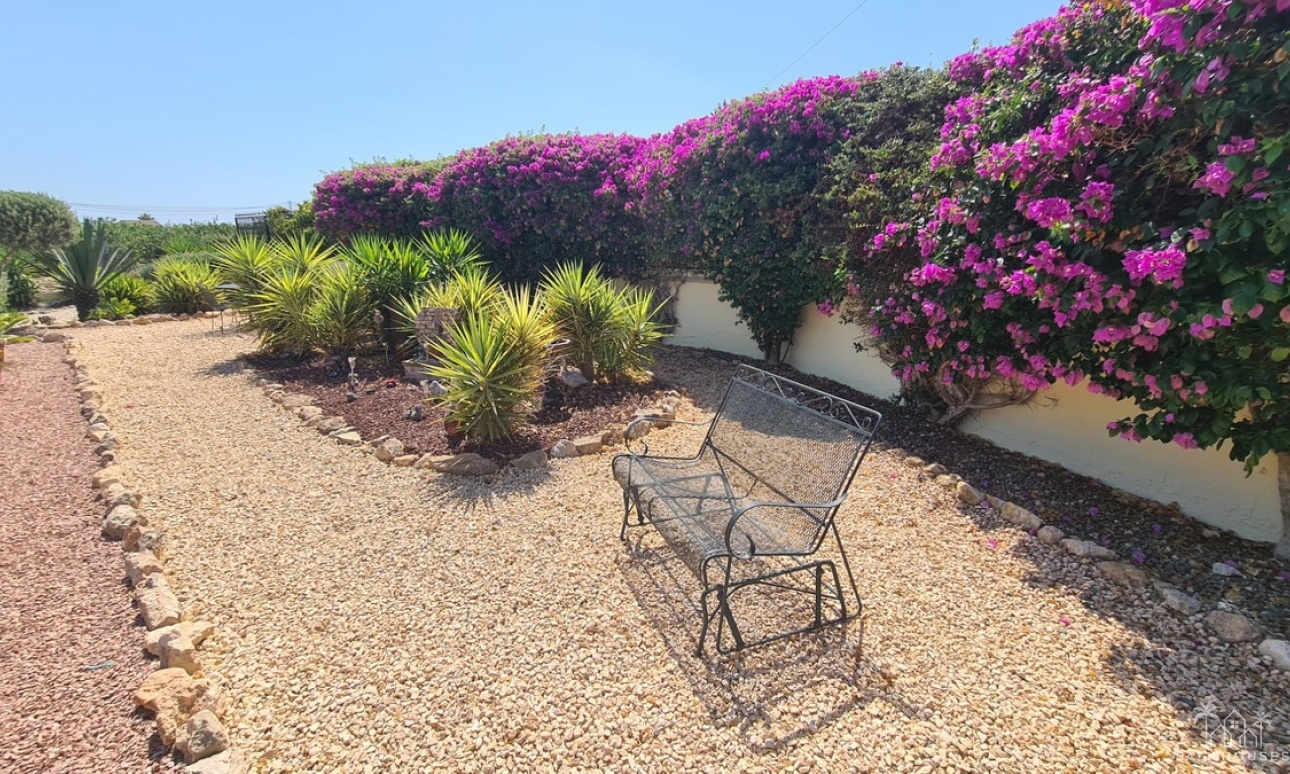 Venta - Villa - Catral - Catral Centro