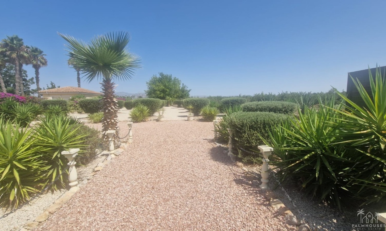 Venta - Villa - Catral - Catral Centro