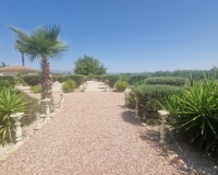 Venta - Villa - Catral - Catral Centro