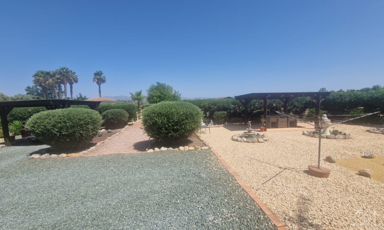 Venta - Villa - Catral - Catral Centro