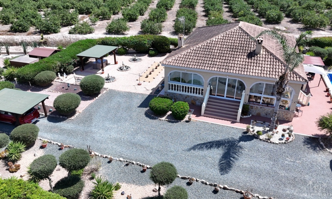 Venta - Villa - Catral - Catral Centro