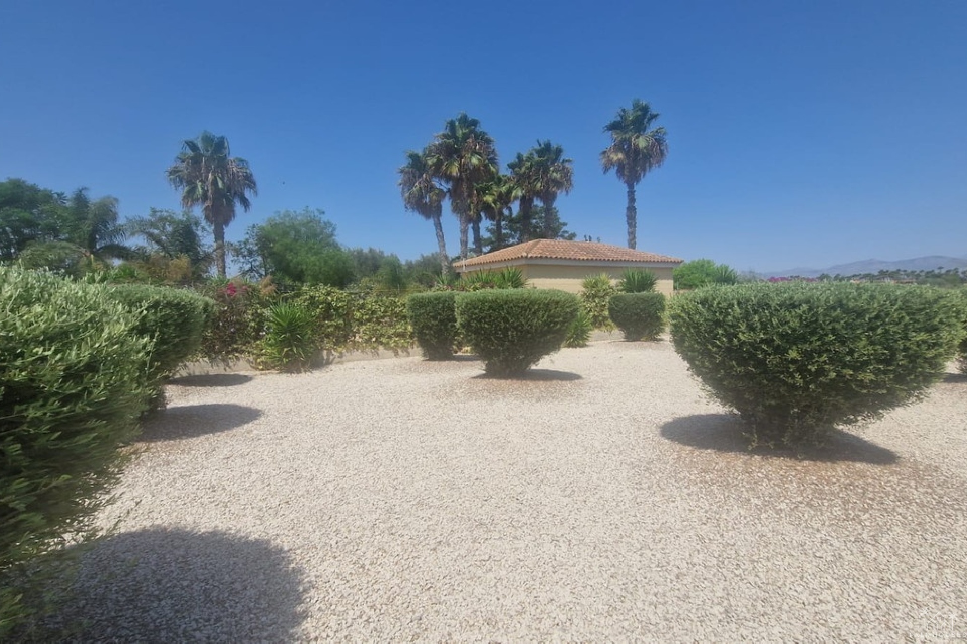 Venta - Villa - Catral - Catral Centro
