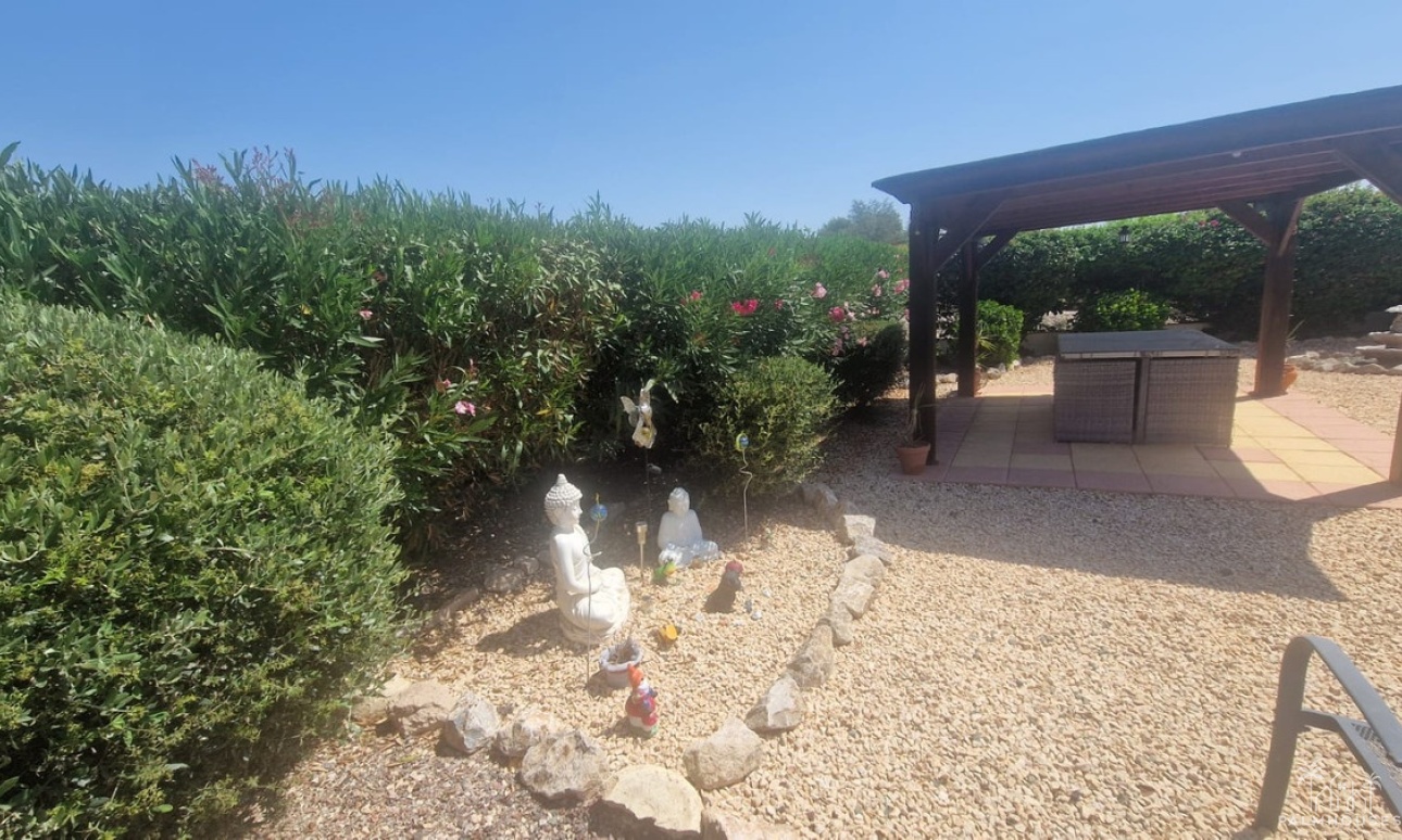 Venta - Villa - Catral - Catral Centro