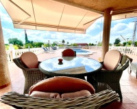Venta - Villa - Catral - Costa Blanca