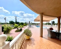 Venta - Villa - Catral - Costa Blanca