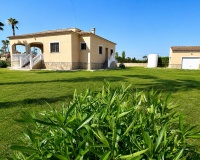 Venta - Villa - Catral - Costa Blanca