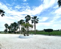 Venta - Villa - Catral - Costa Blanca