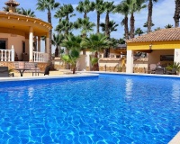 Venta - Villa - Catral - Costa Blanca