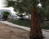 Venta - Villa - Ciudad Quesada - Costa Blanca Sur