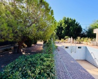 Venta - Villa - Crevillent - Inland