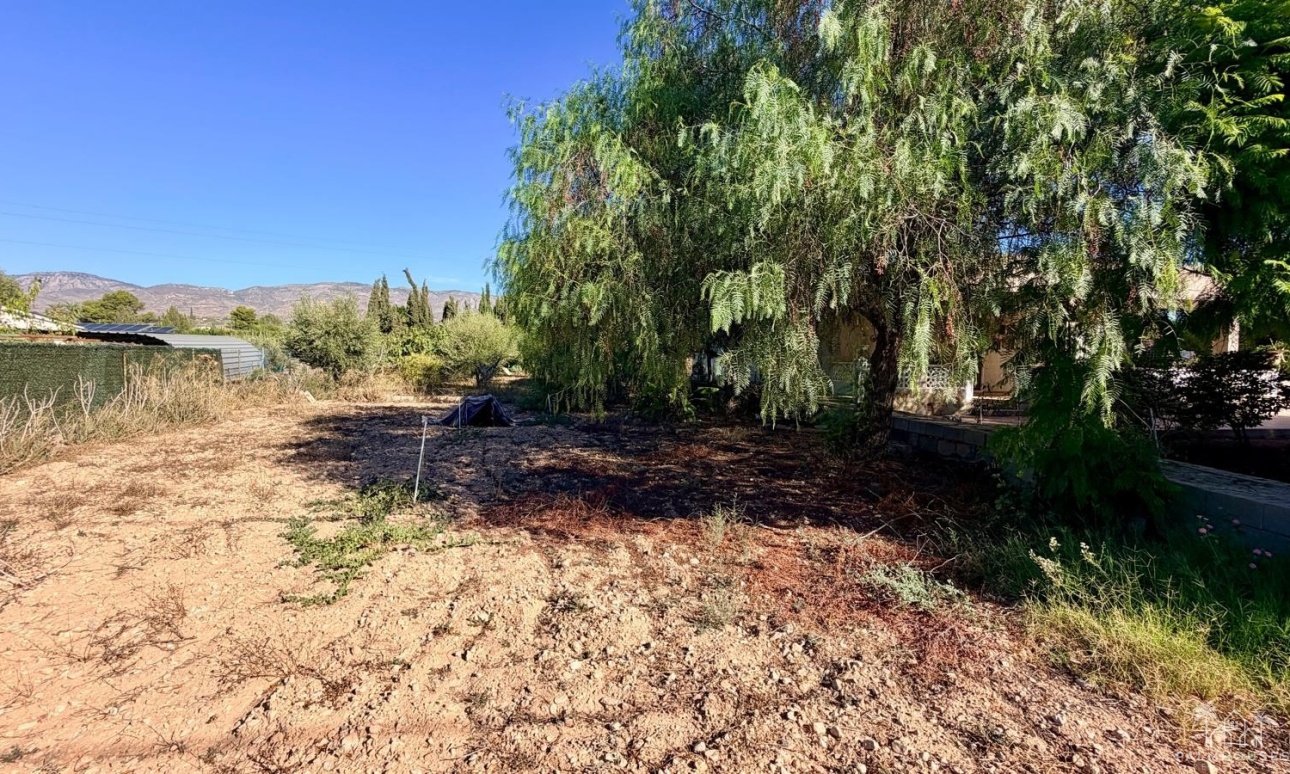 Venta - Villa - Crevillent - Inland