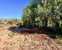 Venta - Villa - Crevillent - Inland