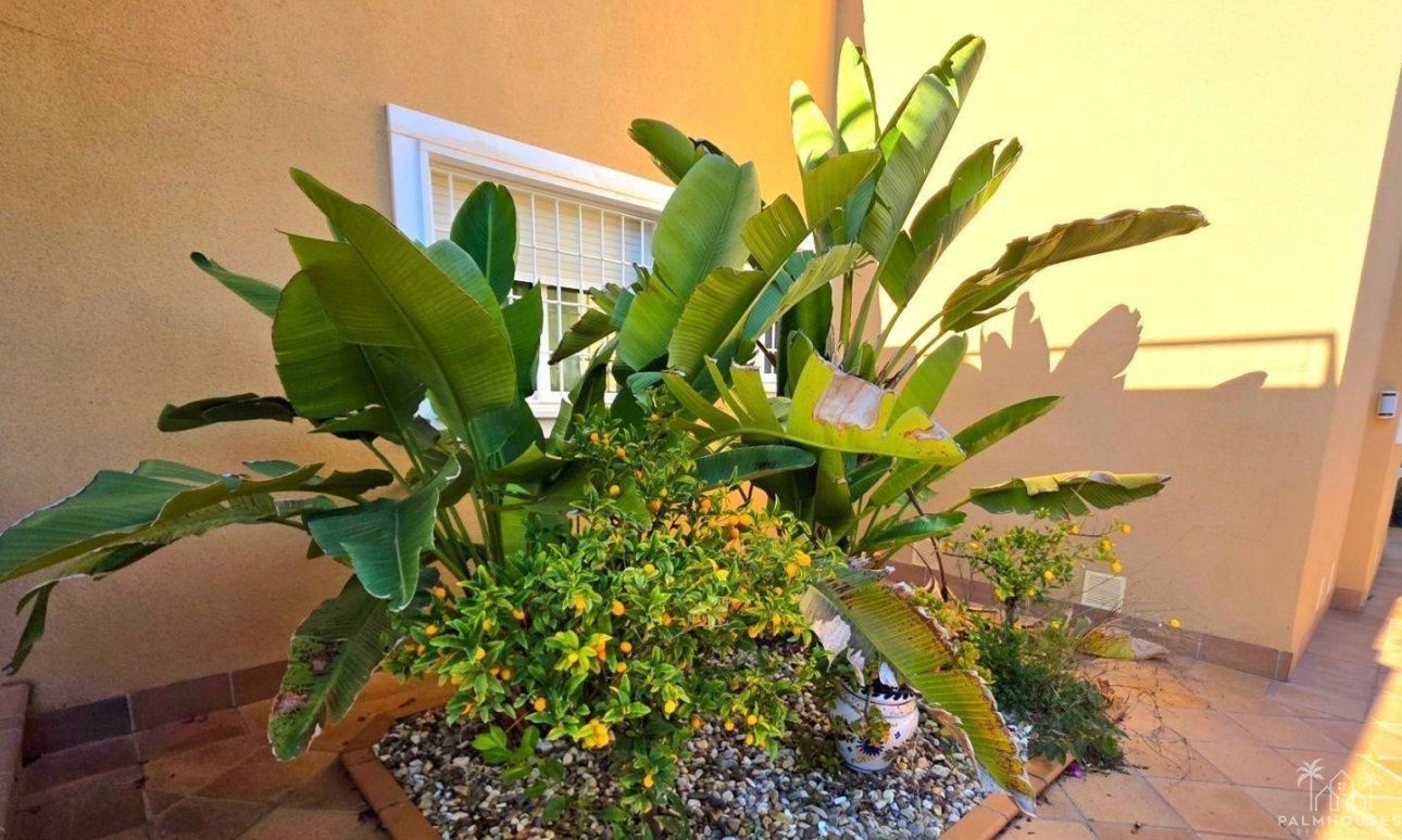 Venta - Villa - Dehesa De Campoamor - Campoamor
