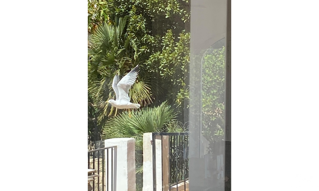 Venta - Villa - Denia - Denia Centro
