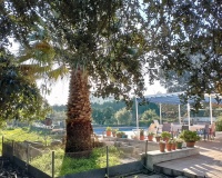 Venta - Villa - Denia - Denia Centro