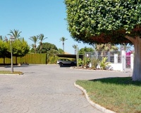 Venta - Villa - Elche - Costa Blanca