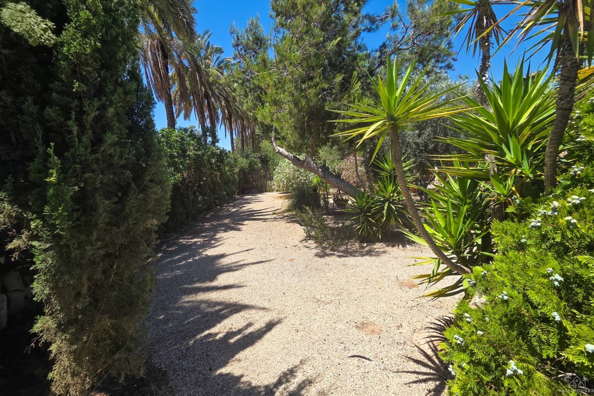 Venta - Villa - Elche - Costa Blanca
