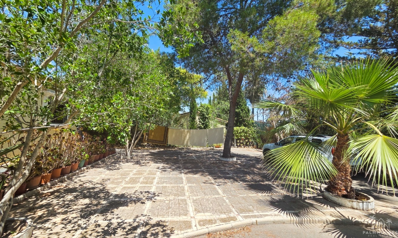 Venta - Villa - Elche - Costa Blanca