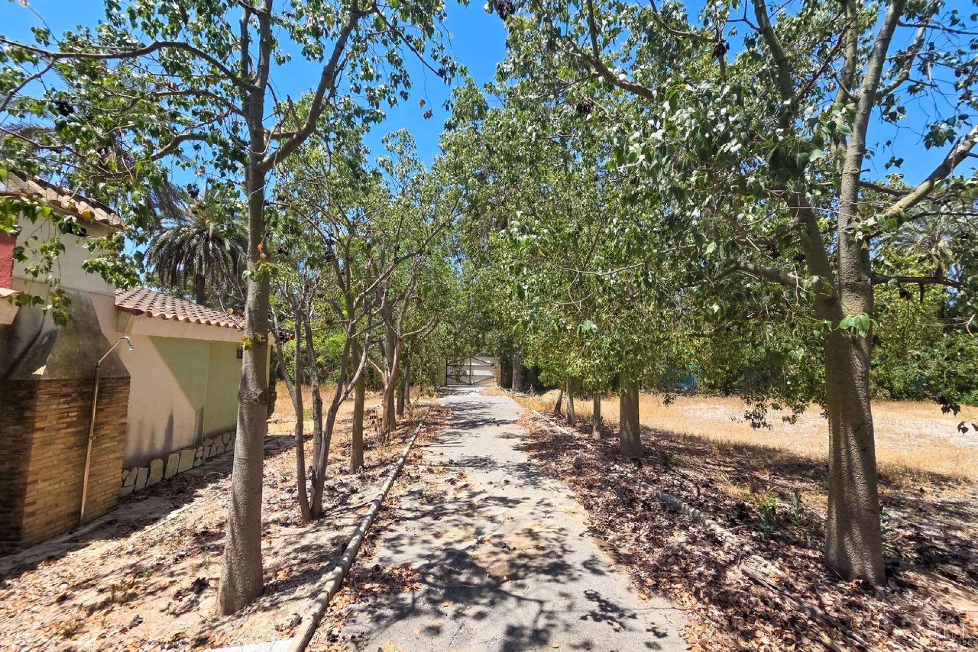 Venta - Villa - Elche - Costa Blanca