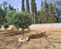 Venta - Villa - Elche - Elche Centro