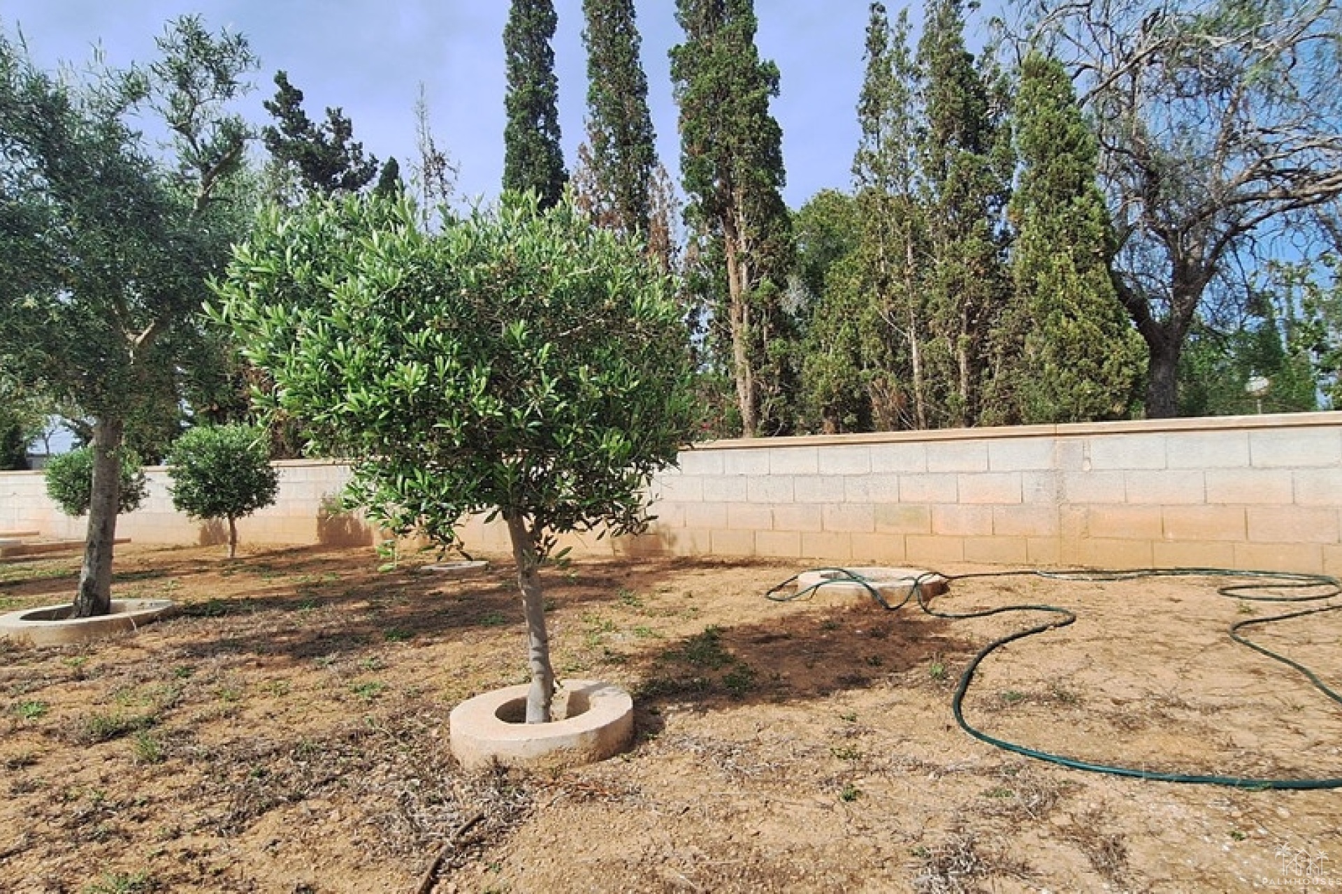 Venta - Villa - Elche - Elche Centro