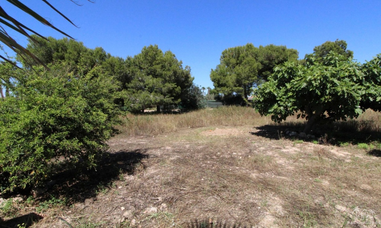 Venta - Villa - Elche - Elche Centro