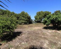 Venta - Villa - Elche - Elche Centro