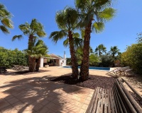 Venta - Villa - Elche - Torrellano