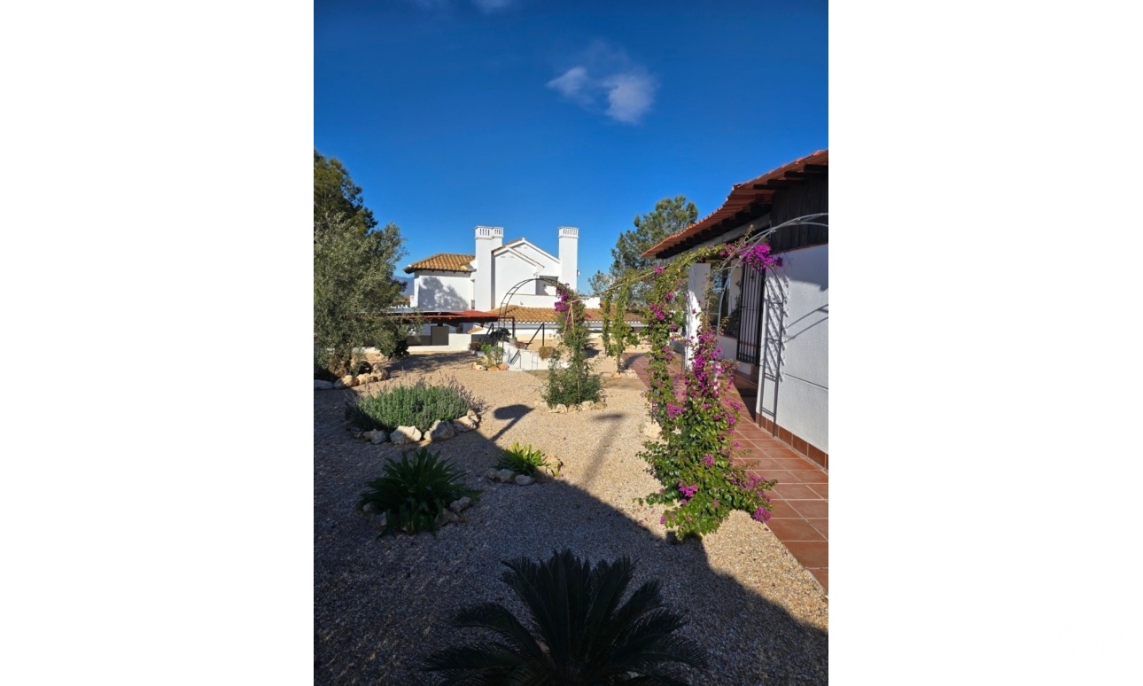 Venta - Villa - Fuente Álamo - Las Palas